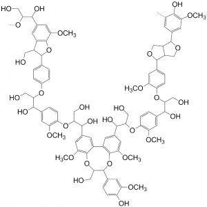 Lignin structure [CC-BY-SA-3.0 Steve Cook, based on User:Chino's structure on Wikipedia]