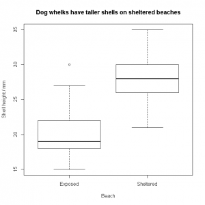 Dog whelks boxplot [CC-BY-SA-3.0 Steve Cook]