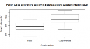 Pollen tubes boxplot [CC-BY-SA-3.0 Steve Cook]