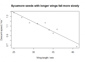 Sycamore seeds linear model [CC-BY-SA-3.0 Steve Cook]