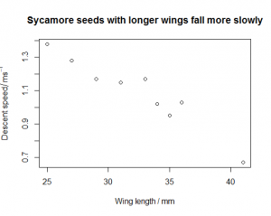 Sycamore seeds scatterplot [CC-BY-SA-3.0 Steve Cook]
