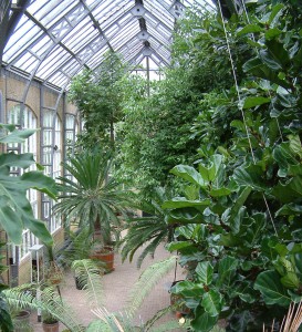 Amsterdam botanical gardens [CC-BY-2.0 Alex Lomas]