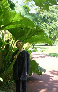 Edinburgh botanical gardens Gunnera [CC-BY-2.0 Alex Lomas]