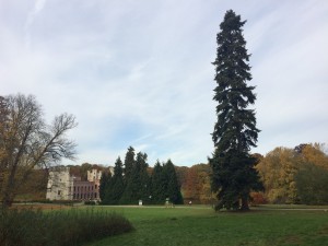 Brussels botanic gardens [CC-BY-SA-3.0 Steve Cook]