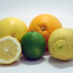 Citrus spp.