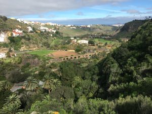 Jardin Canario [CC-BY-SA-4.0 Steve Cook]