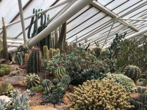 Barbican arid zone glasshouse [CC-BY-SA-4.0 Steve Cook]